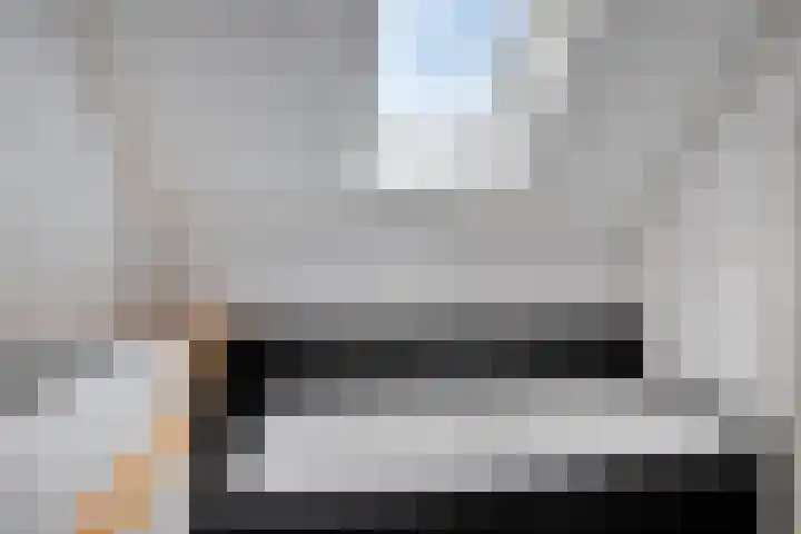 Van Bosseware 2 Zwolle thumbnail 22