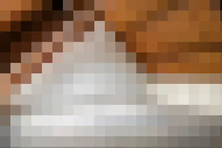 Van Bosseware 2 Zwolle thumbnail 29
