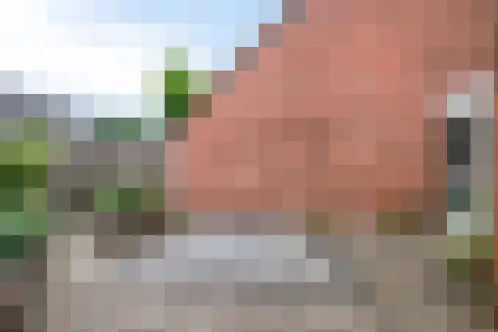 Van Bosseware 2 Zwolle thumbnail 30