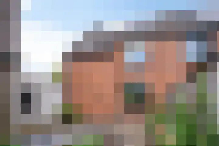 Van Bosseware 2 Zwolle thumbnail 31