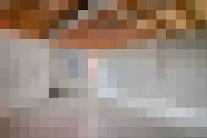 Van Bosseware 2 Zwolle thumbnail 33
