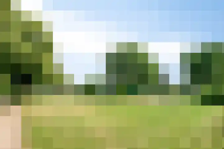 Van Bosseware 2 Zwolle thumbnail 35