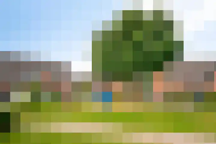 Van Bosseware 2 Zwolle thumbnail 36