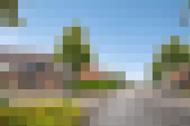 Van Bosseware 2 Zwolle thumbnail 4