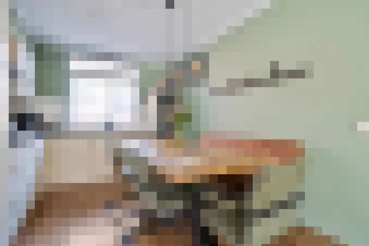 Van Bosseware 23 Zwolle thumbnail 14