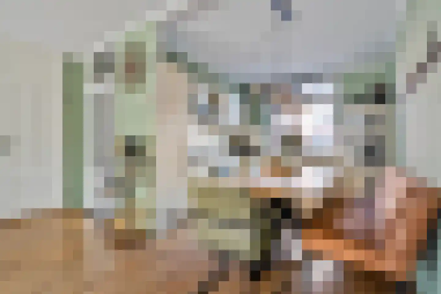 Van Bosseware 23 Zwolle thumbnail 15