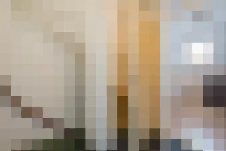 Van Bosseware 23 Zwolle thumbnail 19