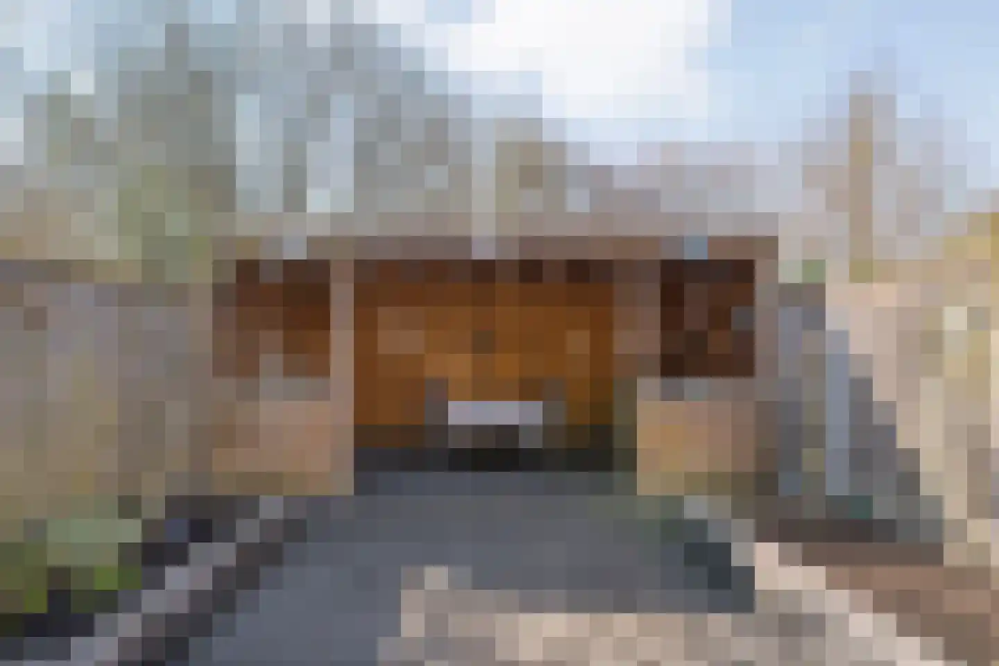 Van Bosseware 23 Zwolle thumbnail 37