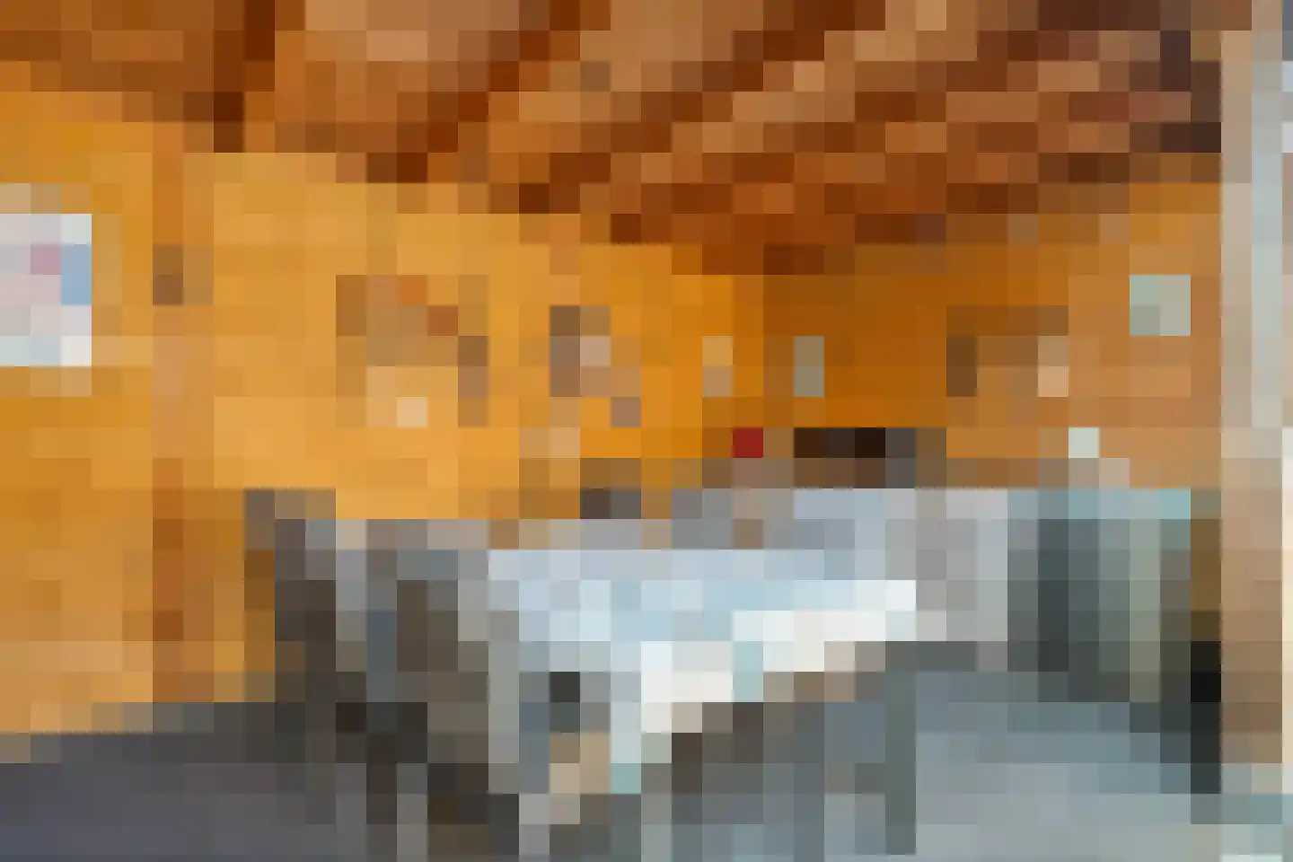 Van Bosseware 23 Zwolle thumbnail 38