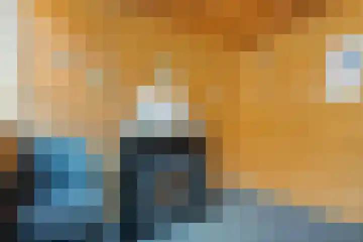 Van Bosseware 23 Zwolle thumbnail 40
