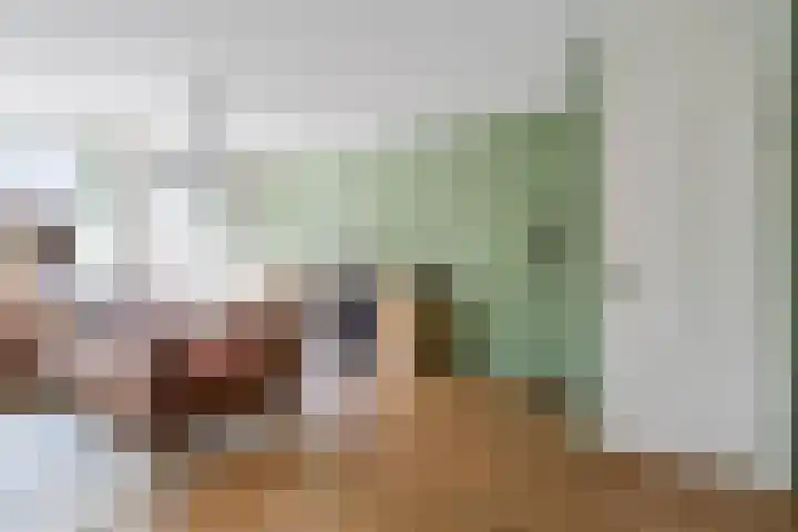 Van Bosseware 23 Zwolle thumbnail 9