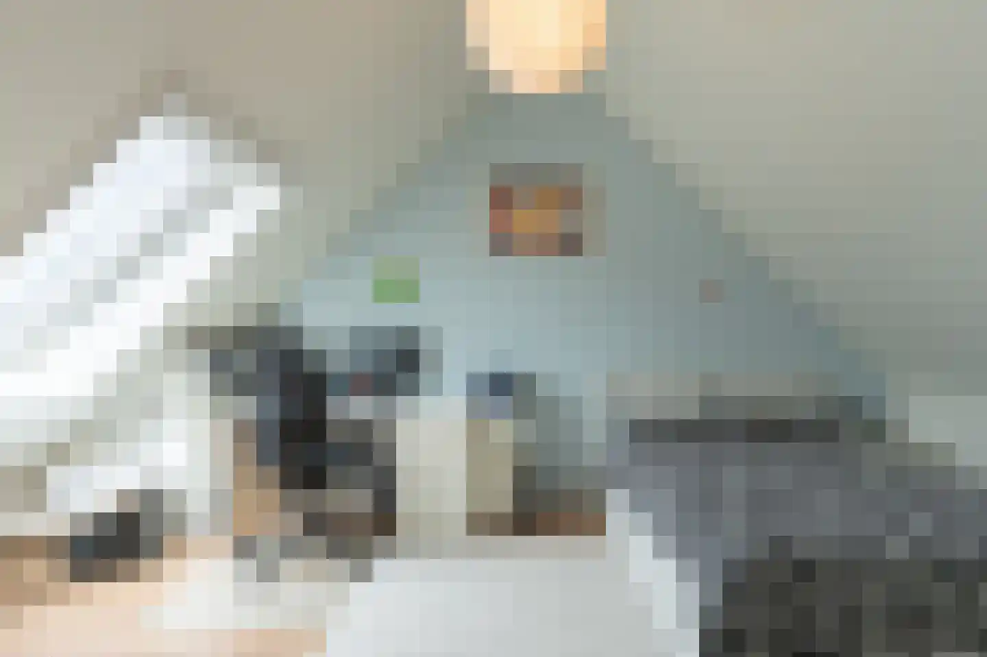 Van Bosseware 24 Zwolle thumbnail 28