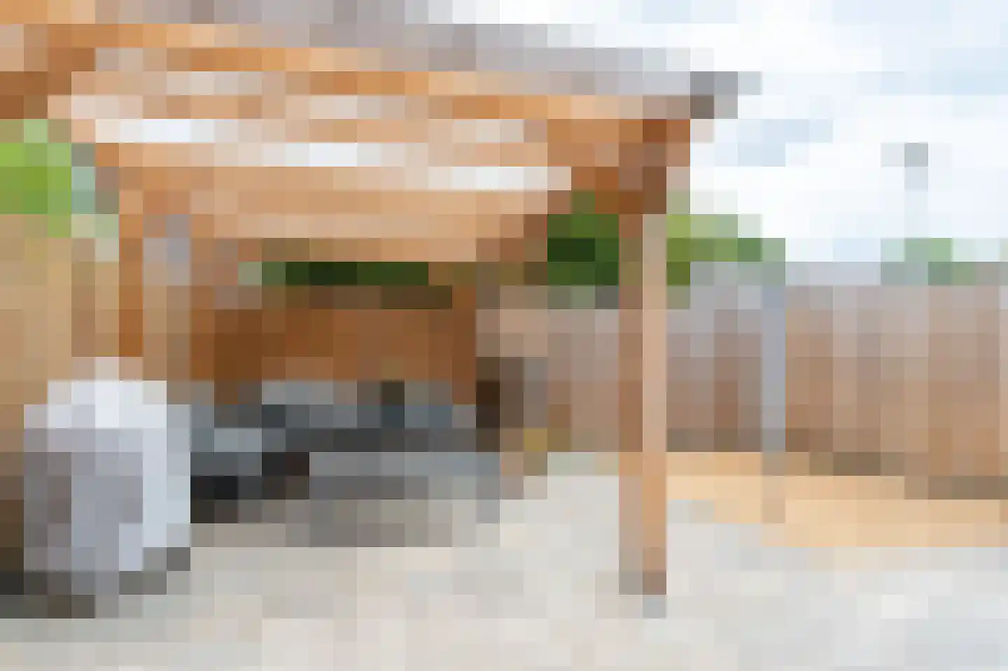 Van Bosseware 24 Zwolle thumbnail 32