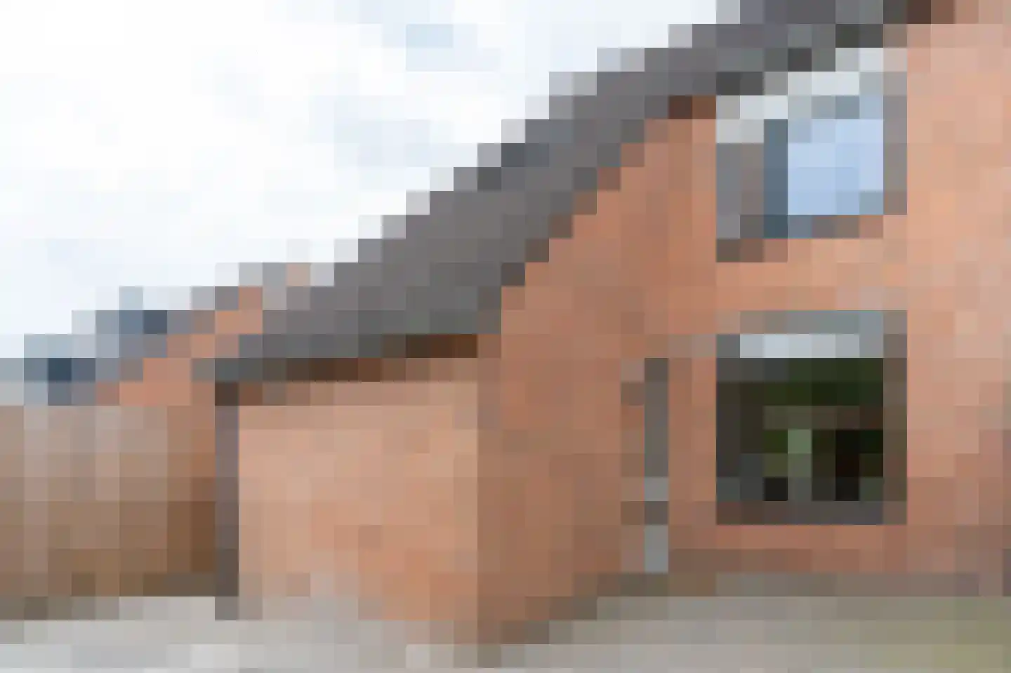 Van Bosseware 24 Zwolle thumbnail 33