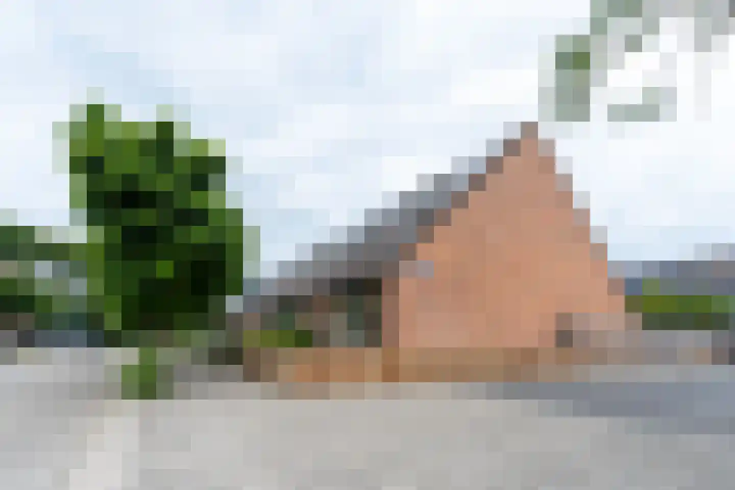 Van Bosseware 24 Zwolle thumbnail 35