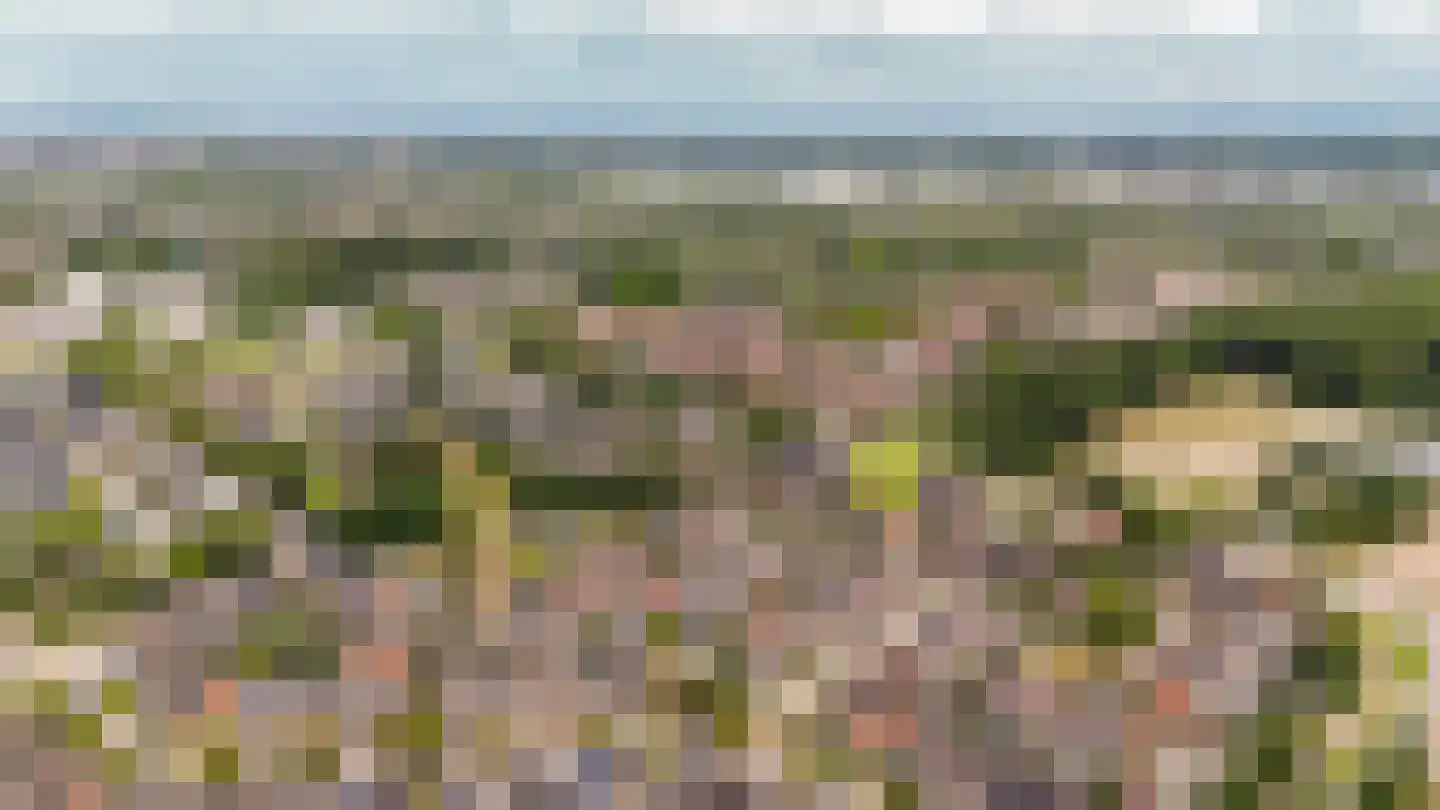 Van Bosseware 24 Zwolle thumbnail 36