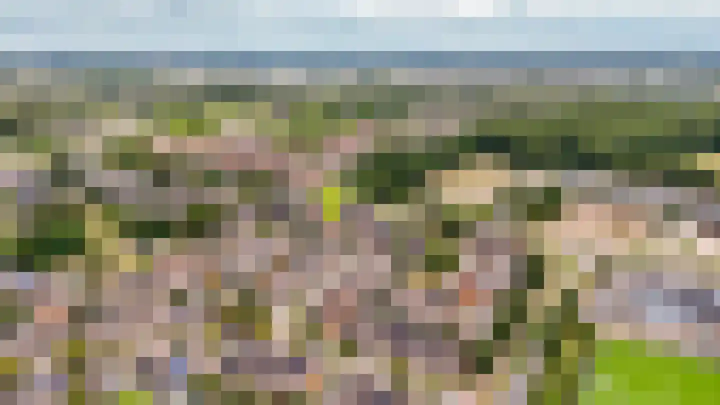Van Bosseware 24 Zwolle thumbnail 37