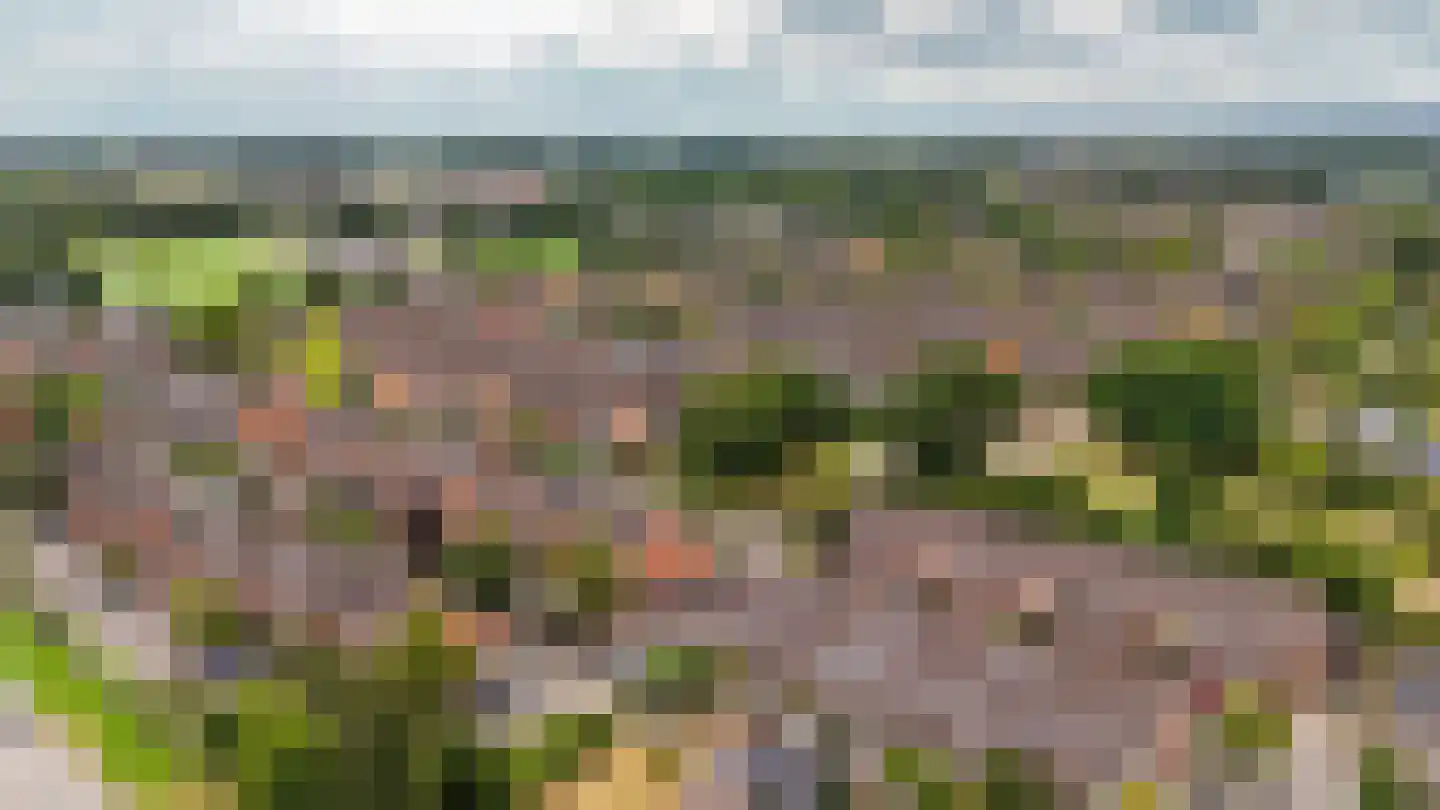 Van Bosseware 24 Zwolle thumbnail 38