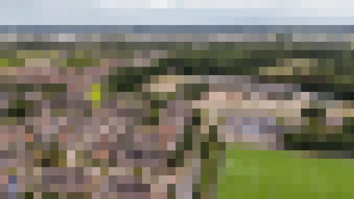 Van Bosseware 24 Zwolle thumbnail 39