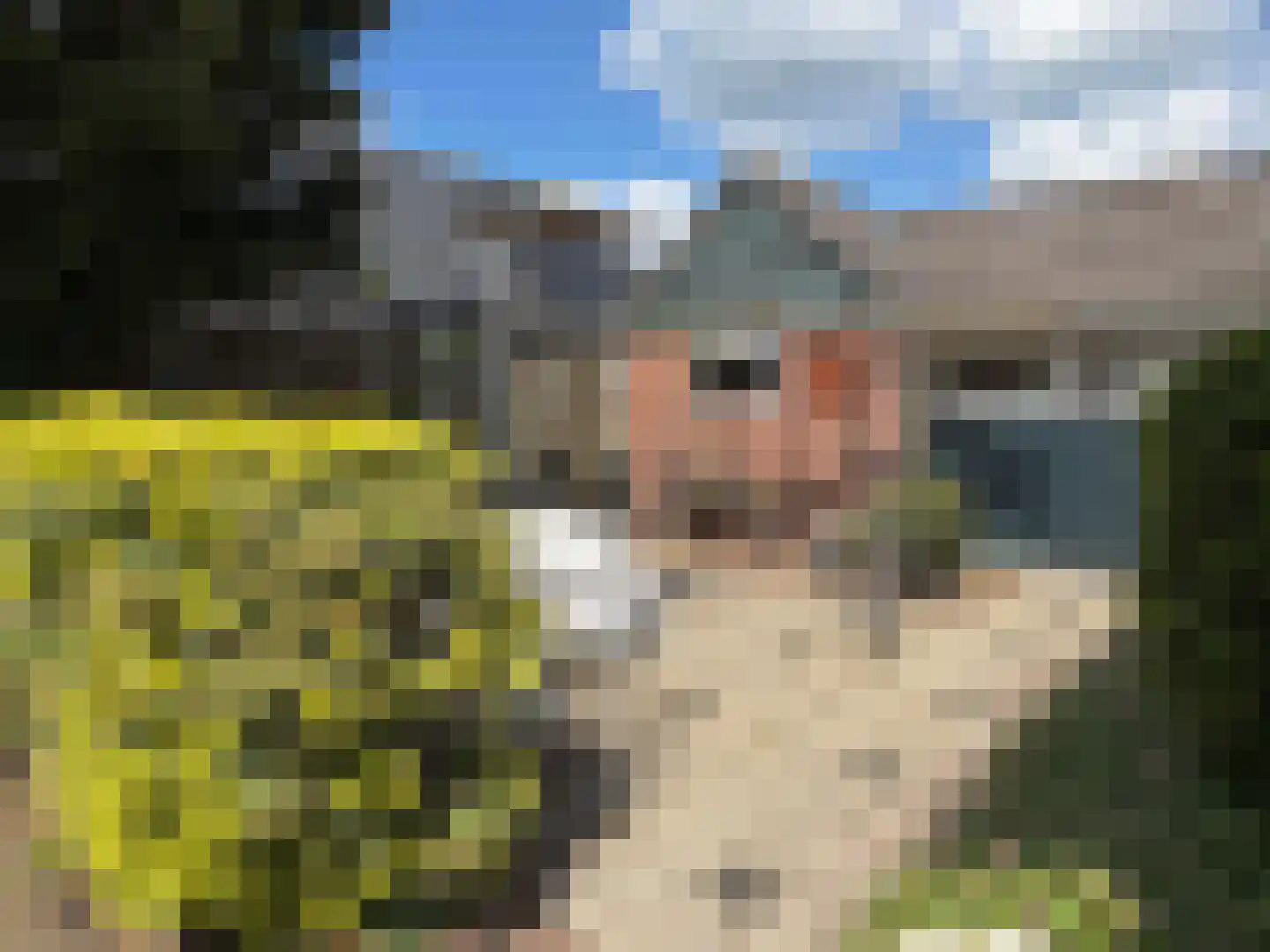van Bothnialaan 1 Coevorden thumbnail 14