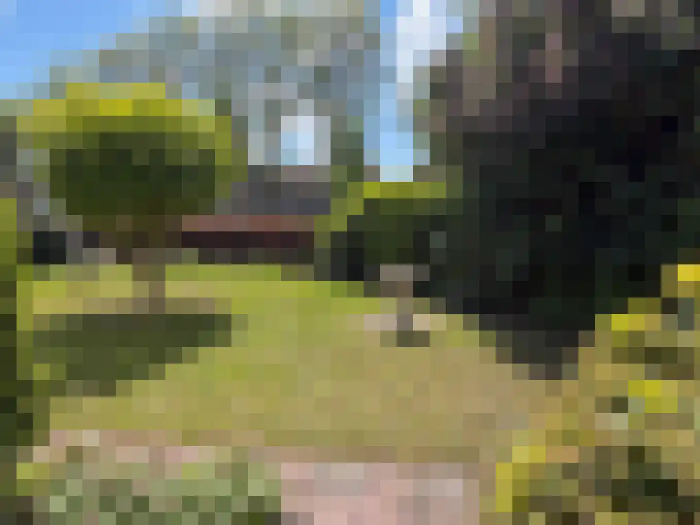 van Bothnialaan 1 Coevorden thumbnail 15