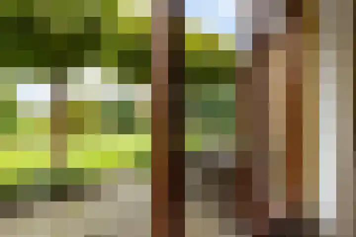 van Bothnialaan 11 Coevorden thumbnail 17