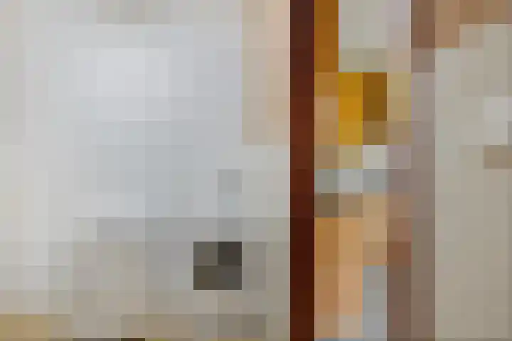 van Bothnialaan 11 Coevorden thumbnail 21