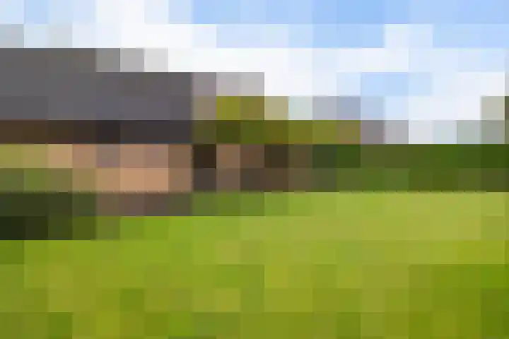 van Bothnialaan 11 Coevorden thumbnail 34