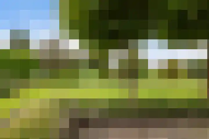 van Bothnialaan 11 Coevorden thumbnail 37