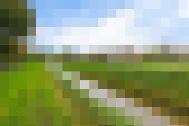 van Bothnialaan 11 Coevorden thumbnail 41