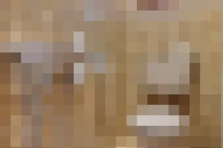 van Bothnialaan 11 Coevorden thumbnail 6