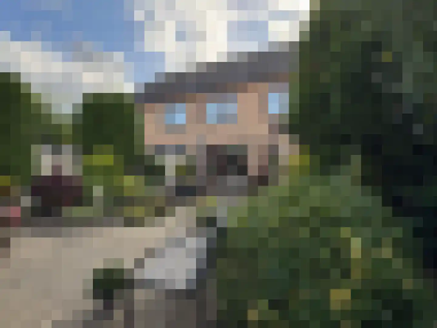 van Bothnialaan 12 Coevorden thumbnail 12