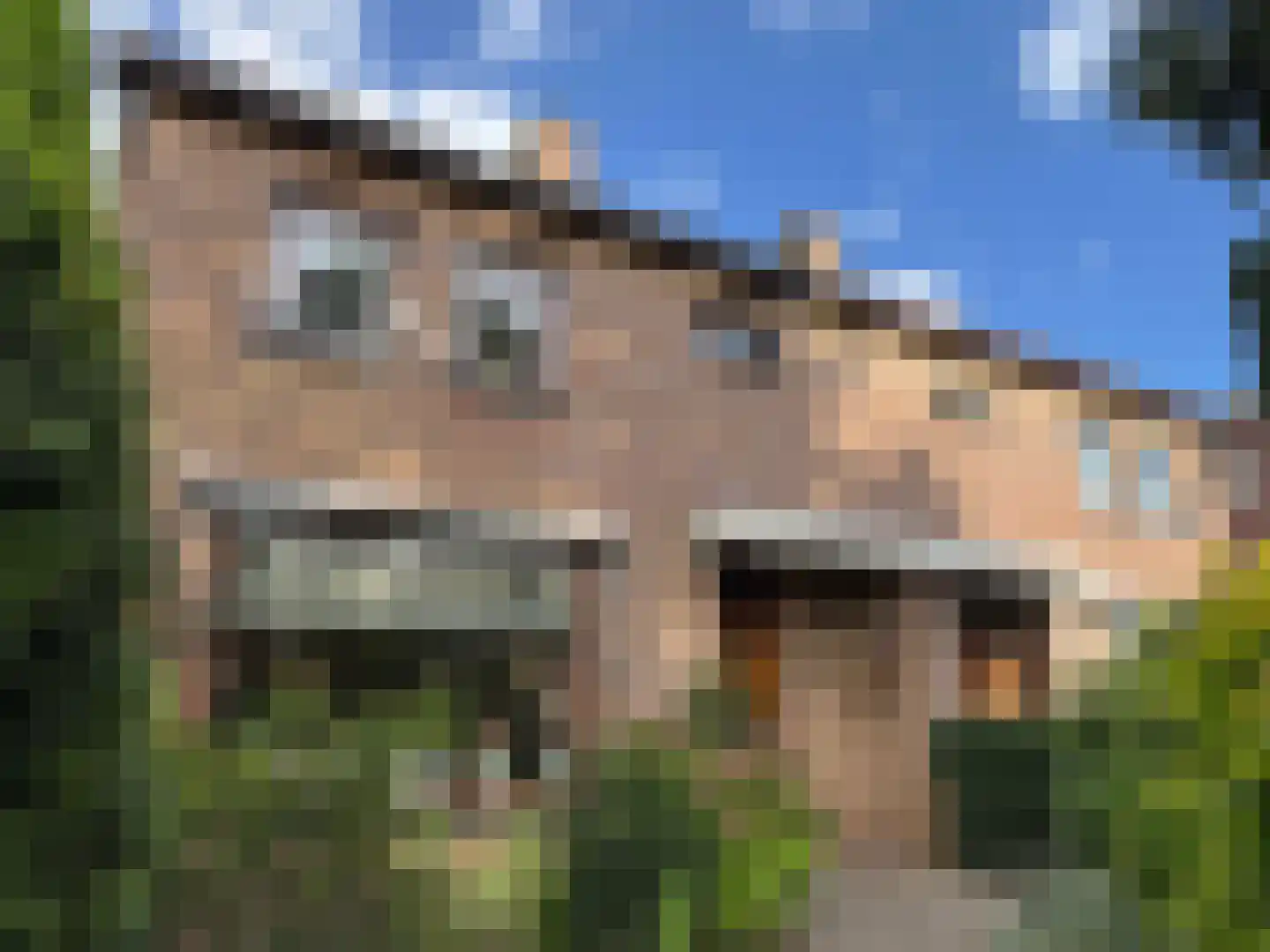 van Bothnialaan 12 Coevorden thumbnail 7