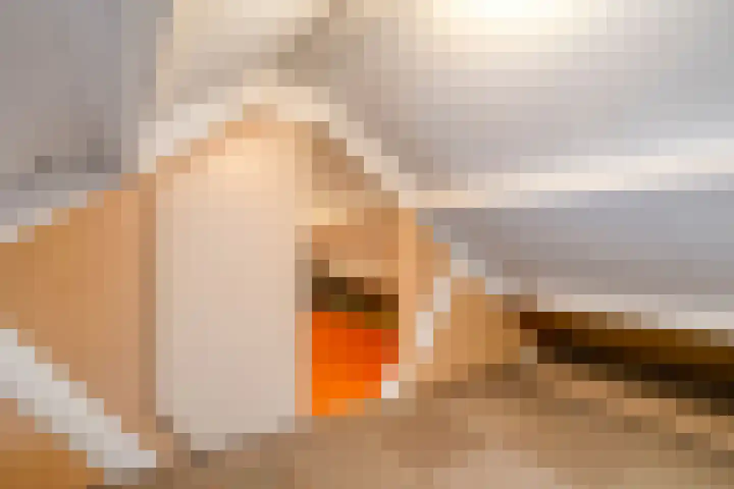 van Bothnialaan 2 Coevorden thumbnail 35