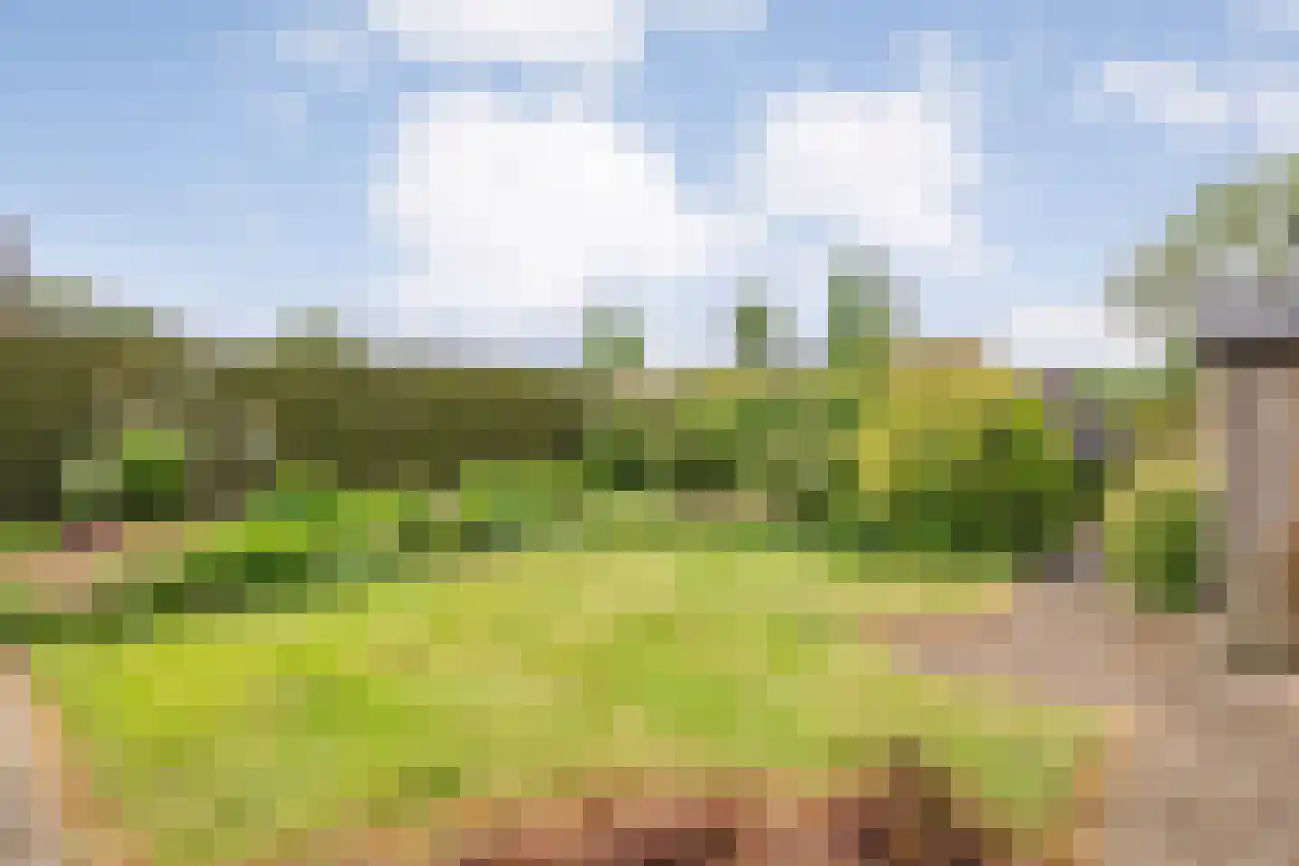 van Bothnialaan 2 Coevorden thumbnail 39
