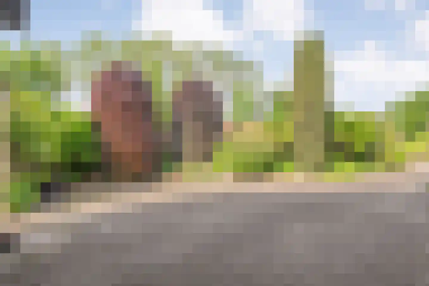 van Bothnialaan 2 Coevorden thumbnail 4