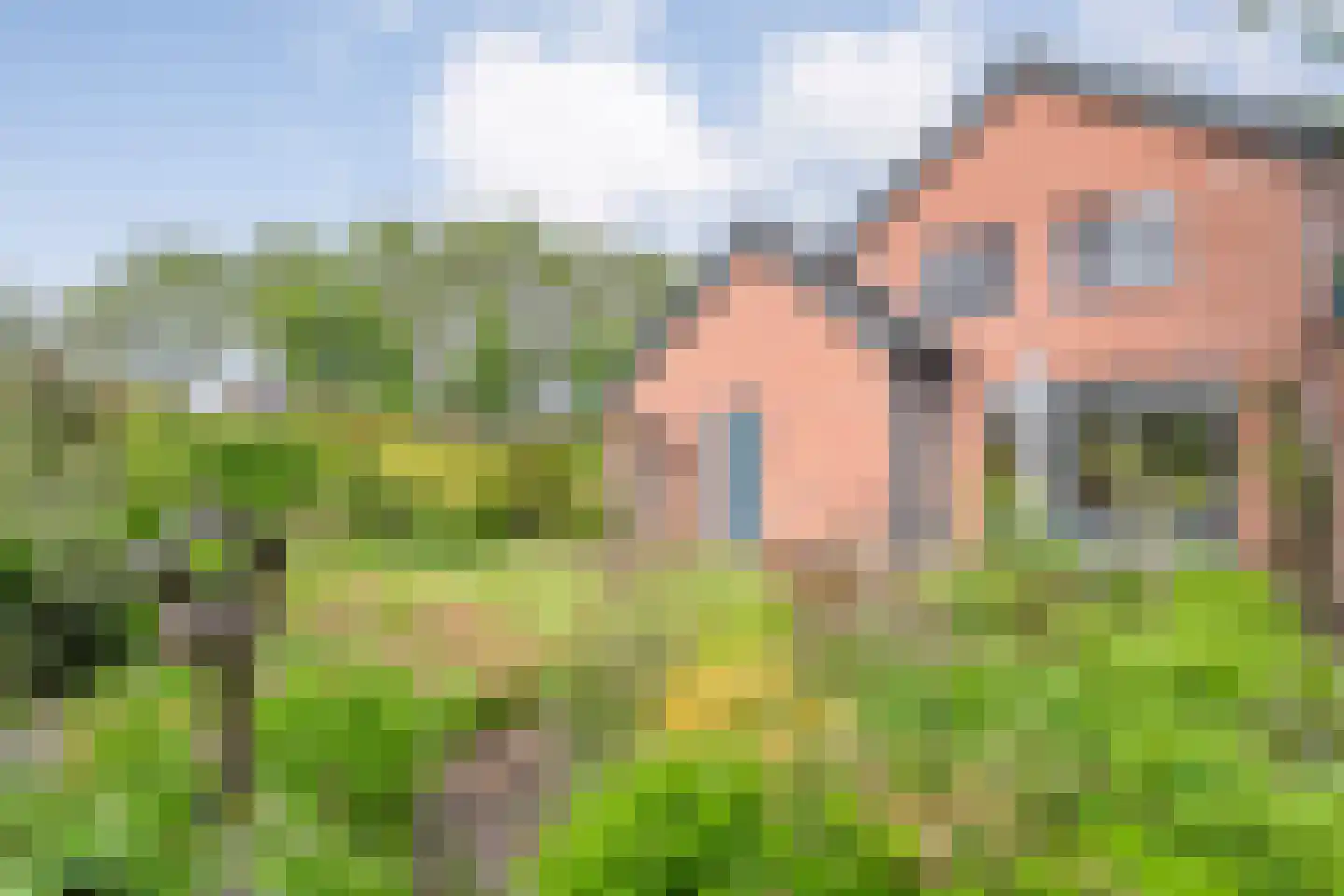 van Bothnialaan 2 Coevorden thumbnail 40