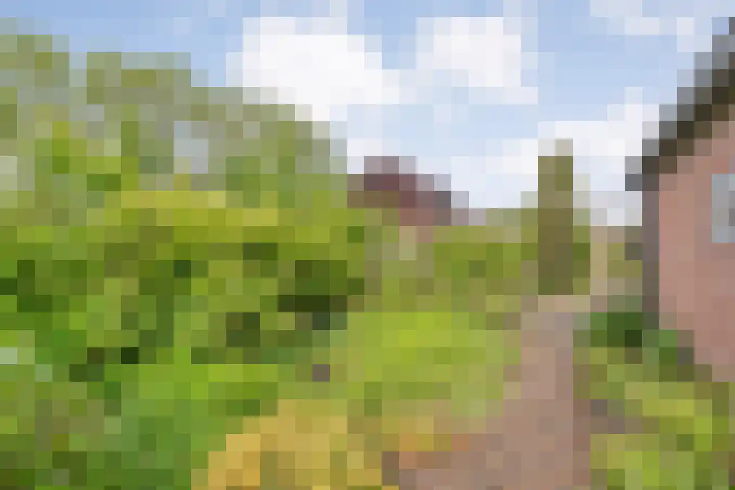 van Bothnialaan 2 Coevorden thumbnail 43