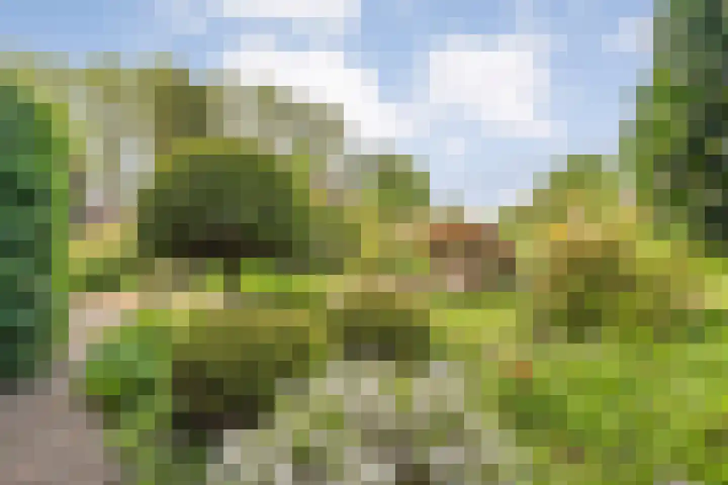 van Bothnialaan 2 Coevorden thumbnail 9