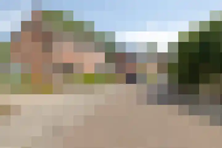 van Bothnialaan 35 Coevorden thumbnail 19