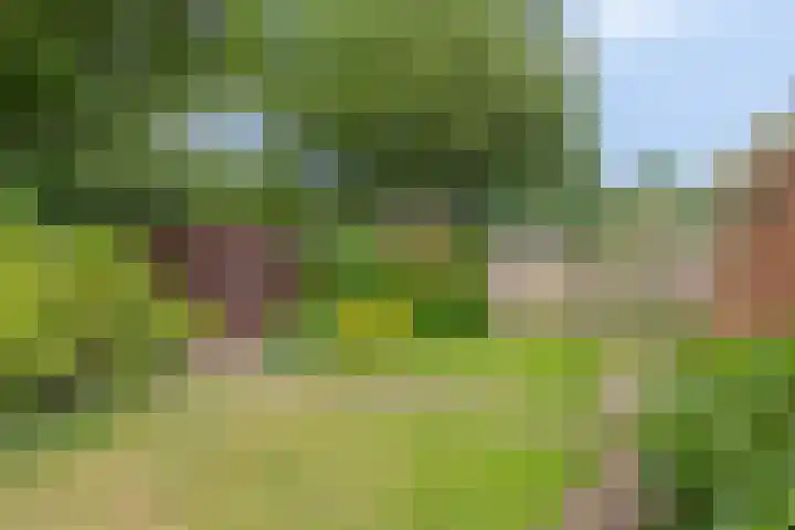 van Bothnialaan 35 Coevorden thumbnail 29