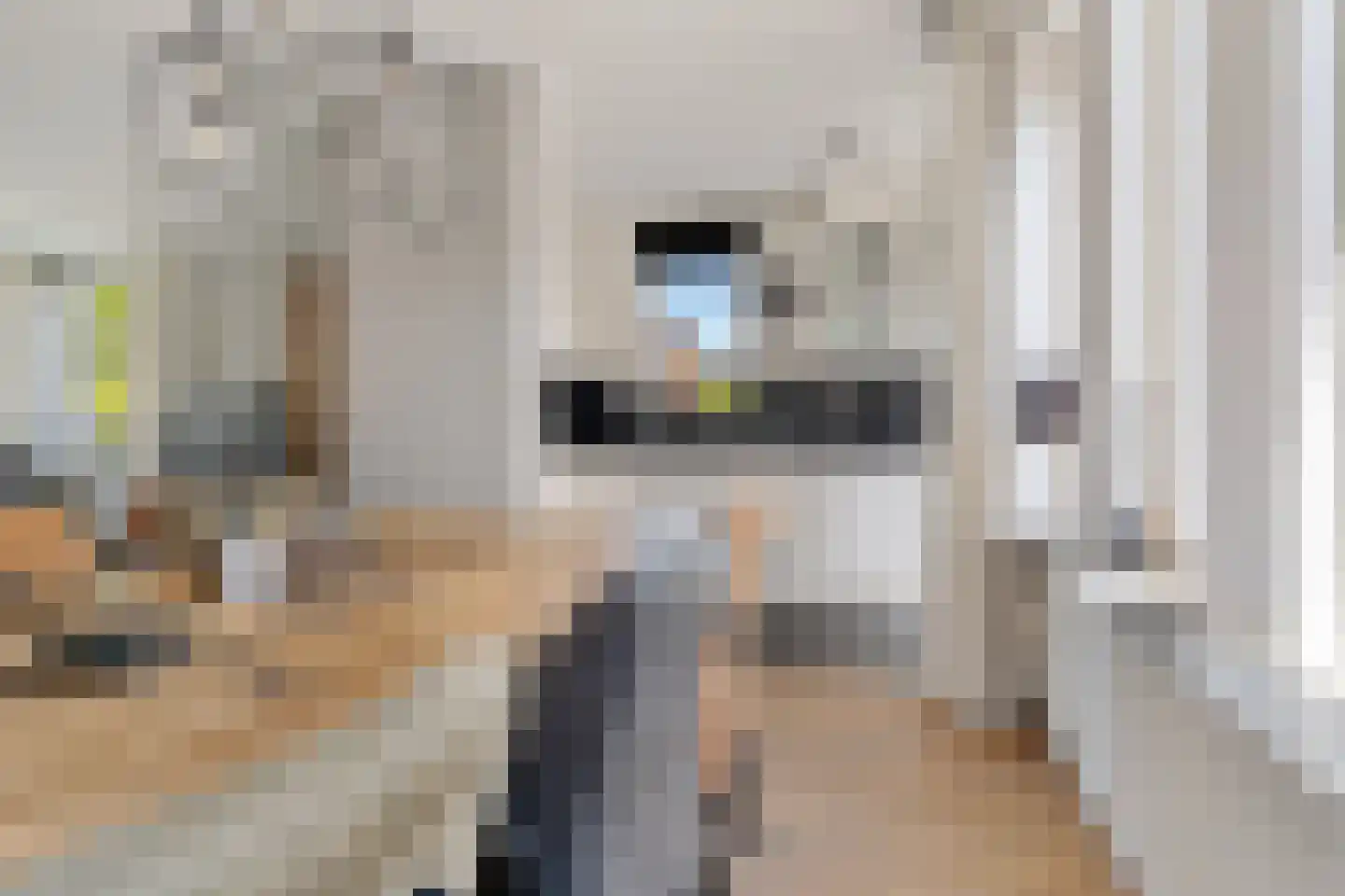 van Bothniaplantsoen 1 Coevorden thumbnail 10
