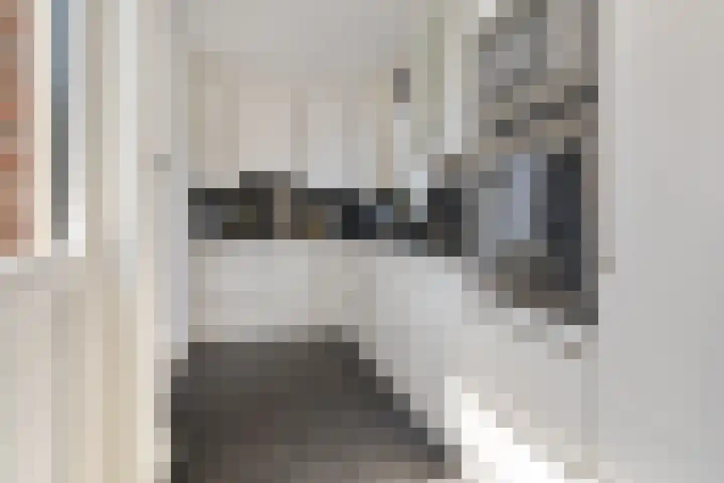 van Bothniaplantsoen 1 Coevorden thumbnail 11