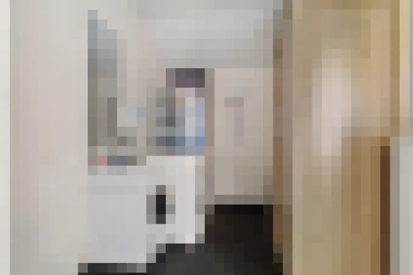 van Bothniaplantsoen 1 Coevorden thumbnail 12