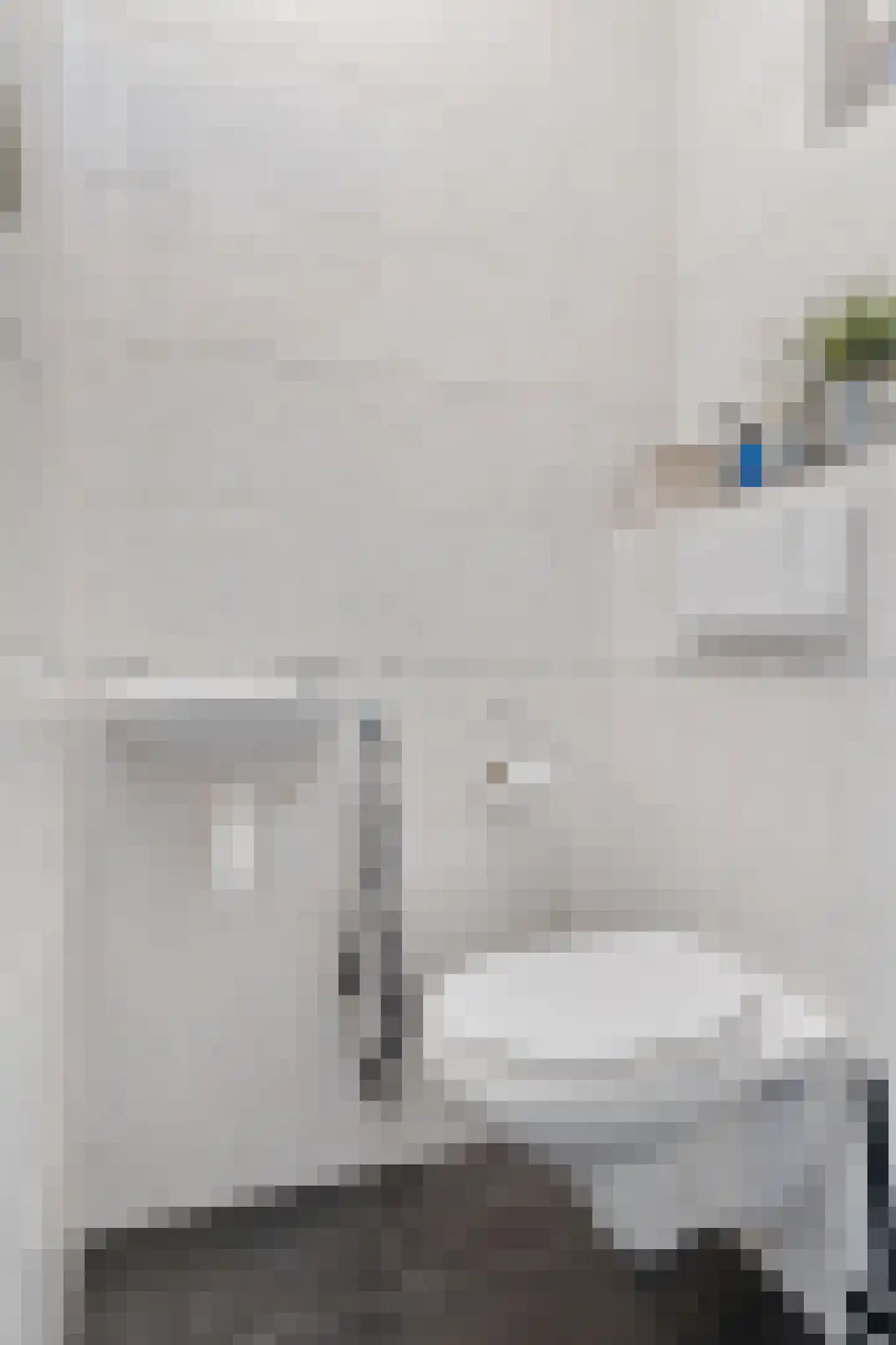 van Bothniaplantsoen 1 Coevorden thumbnail 13