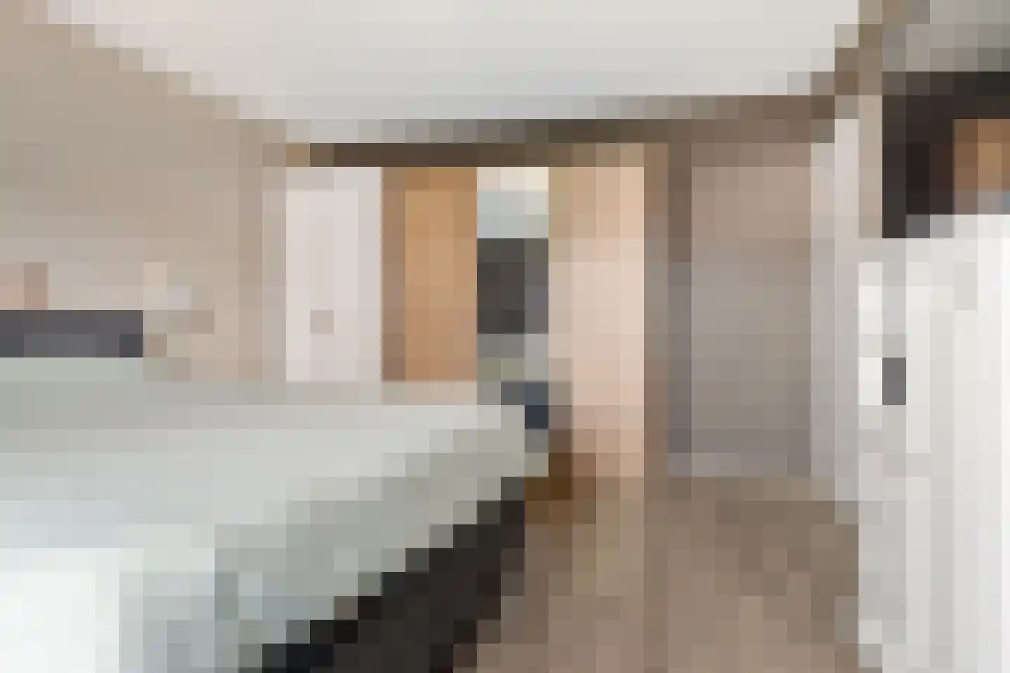 van Bothniaplantsoen 1 Coevorden thumbnail 16