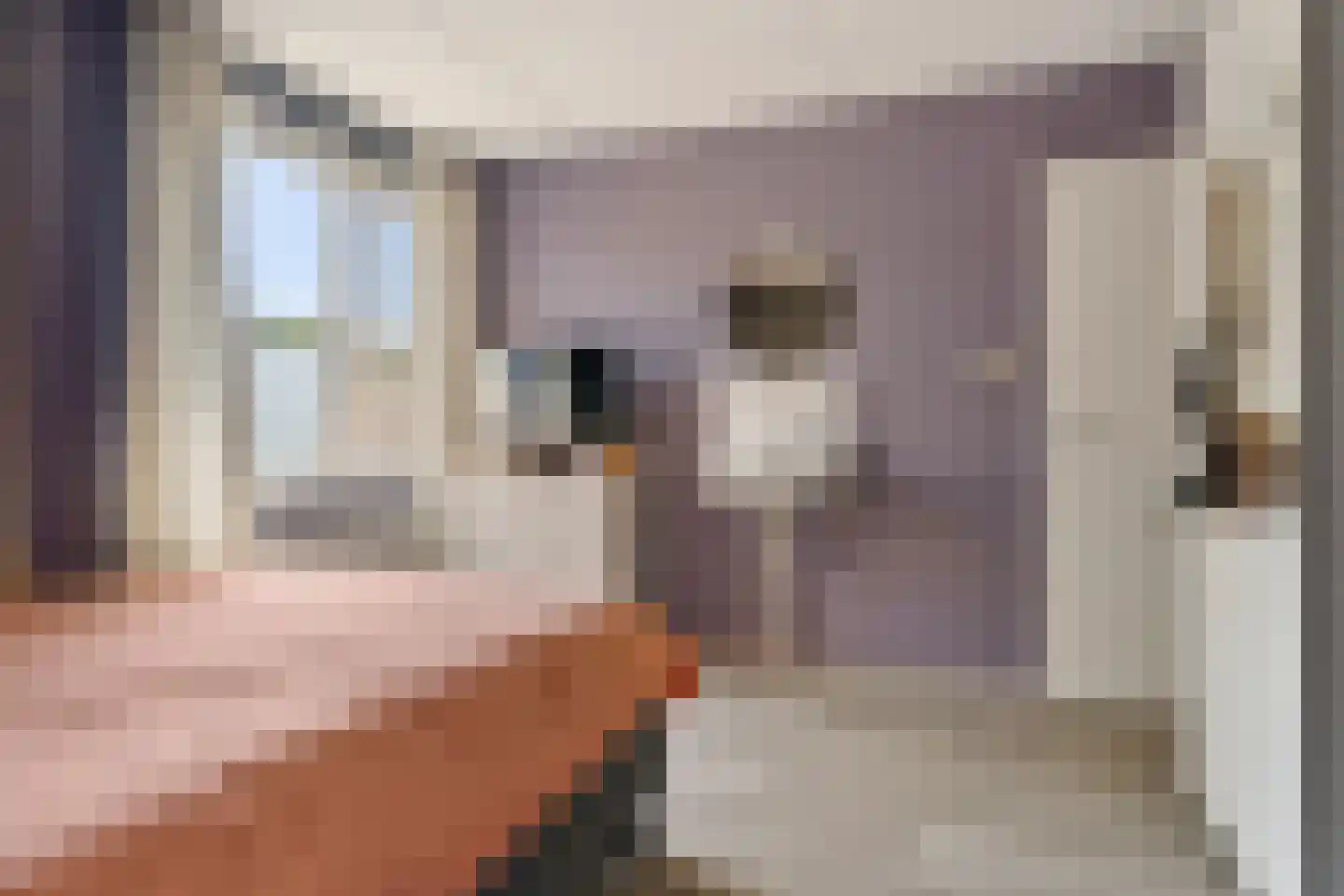 van Bothniaplantsoen 1 Coevorden thumbnail 18