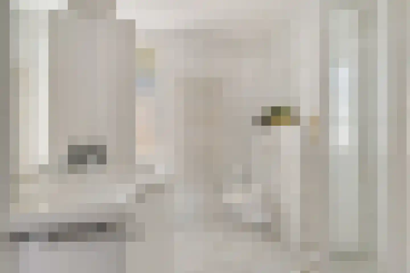 van Bothniaplantsoen 1 Coevorden thumbnail 19