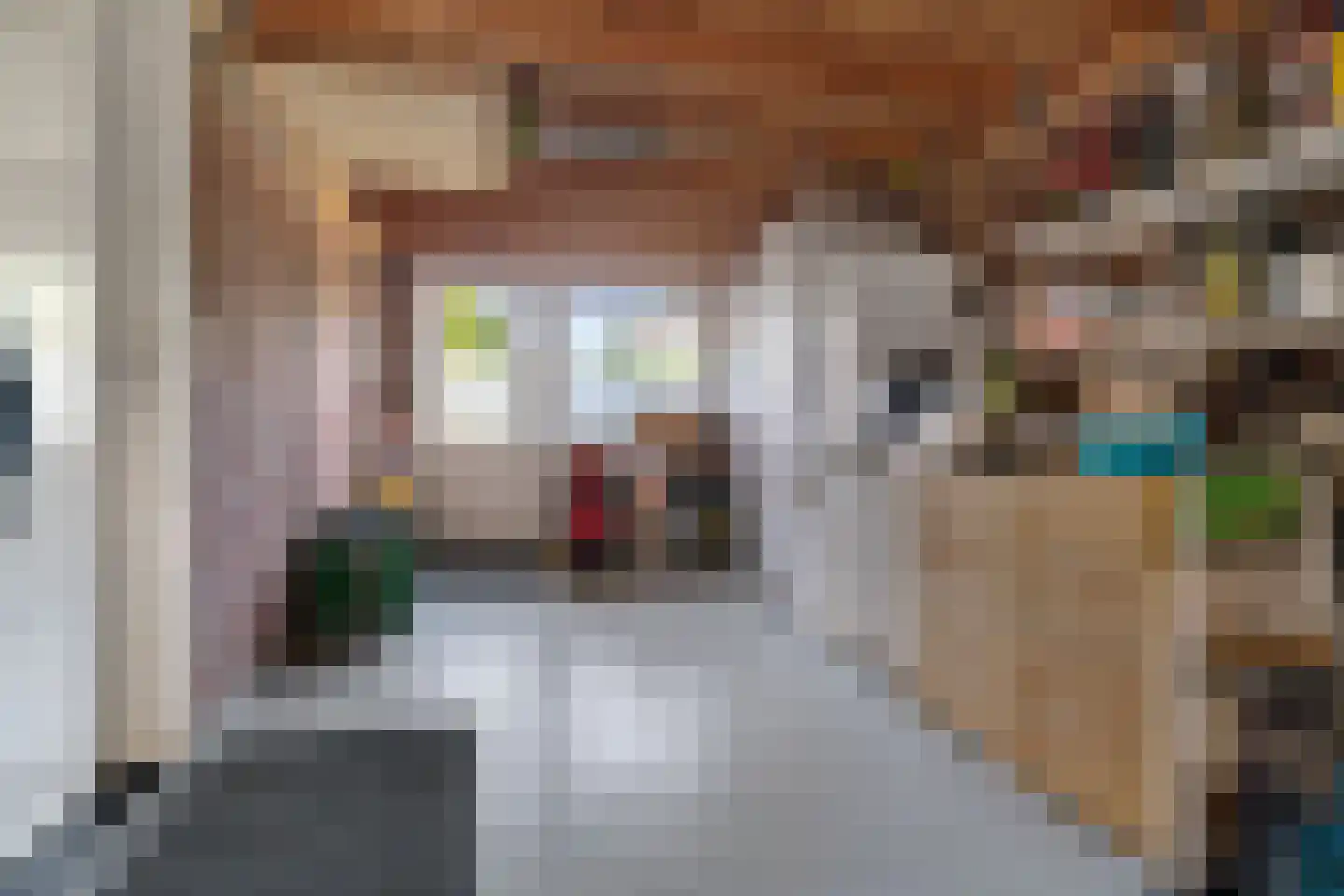 van Bothniaplantsoen 1 Coevorden thumbnail 21