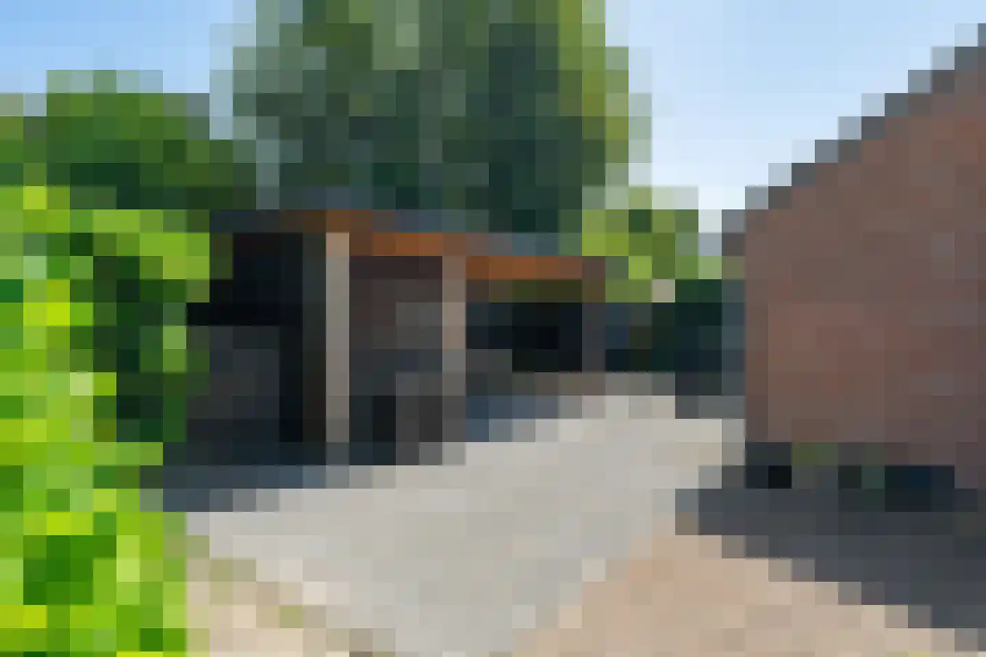 van Bothniaplantsoen 1 Coevorden thumbnail 22